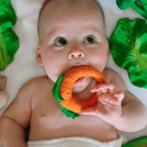 Cathy The Carrot Teether