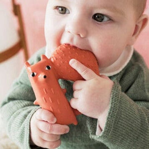 Cyril The Squirrel Teether