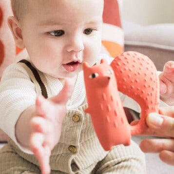 Cyril The Squirrel Teether