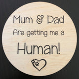 Pet Pregnancy Announcement Disc