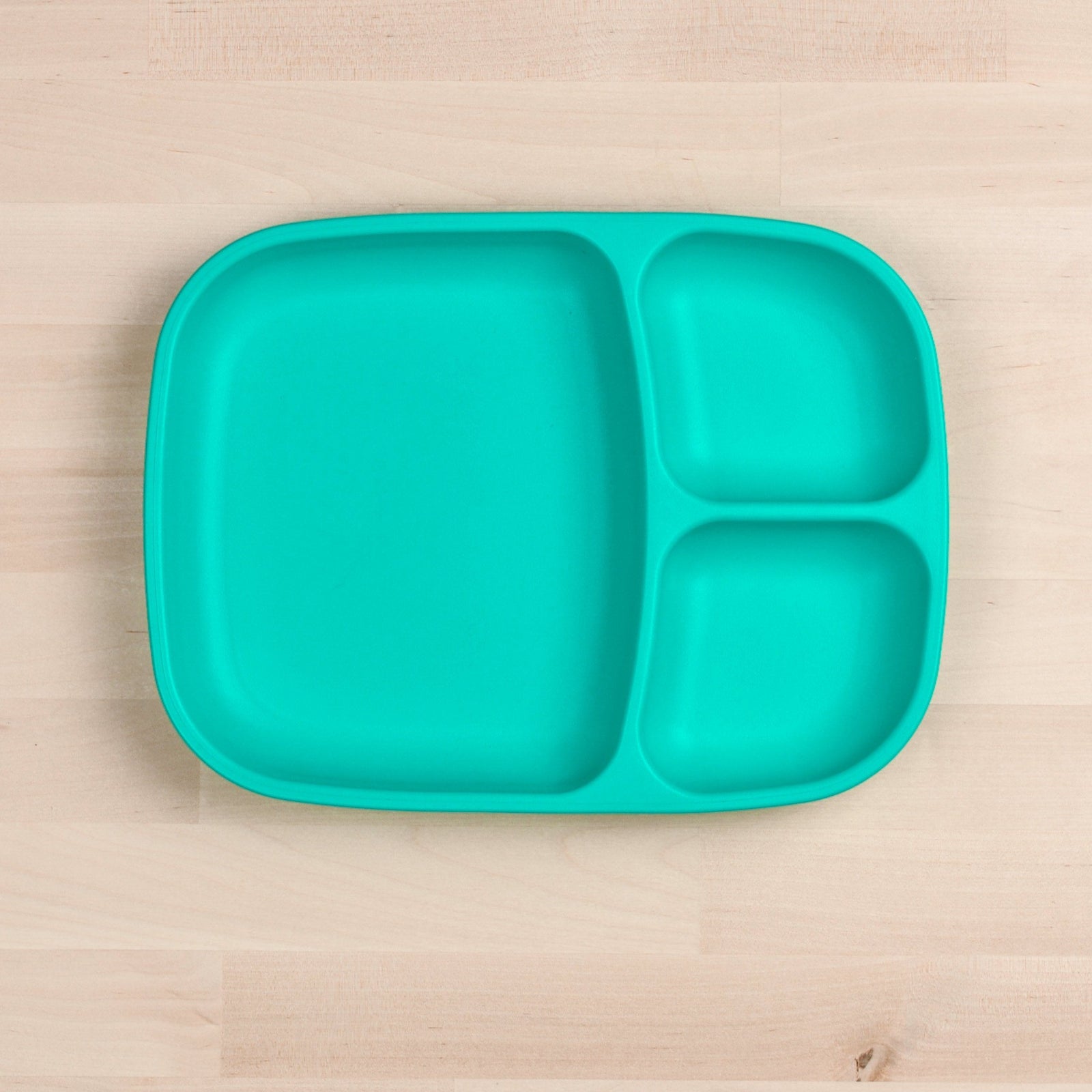 Divided Tray (Aqua)