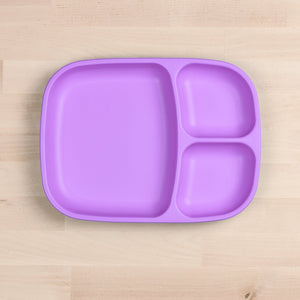 Divided Tray (Purple)