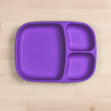 Divided Tray (Amethyst)