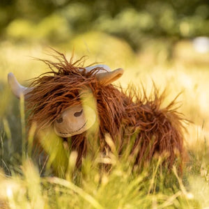 Heidi the Highland Cow