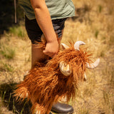 Henry the Highland Cow