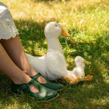 Snowy the Goose