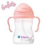 Sippy Cup (Tutti Fruitti)