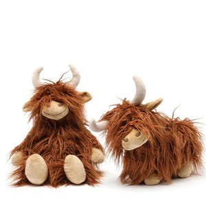 Heidi the Highland Cow