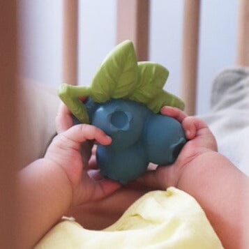 Jerry The Blueberry Teether