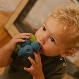 Jerry The Blueberry Teether