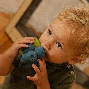 Jerry The Blueberry Teether