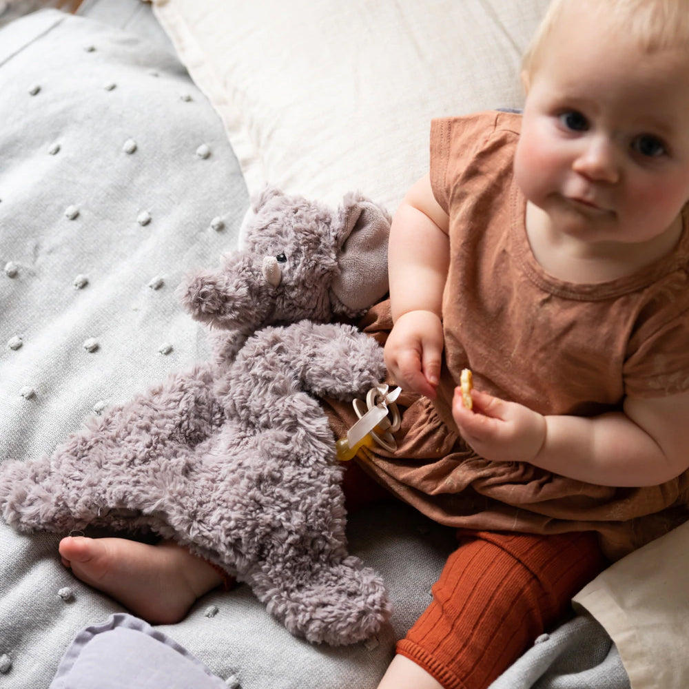 Jimmy the Elephant Hoochy Coochie