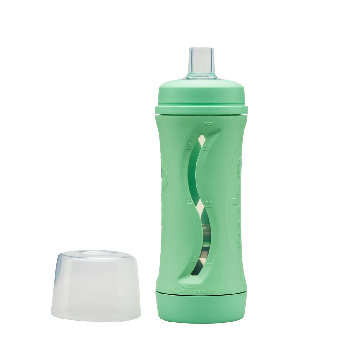 The Food Bottle (Mint)