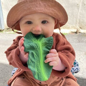 Kendall The Kale Teether