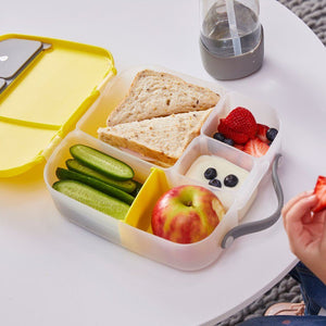 Bento Lunchbox (Blue Slate)