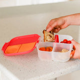 Mini Bento Lunchbox (Ocean Breeze)