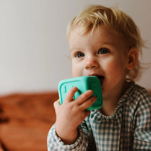 My First Dice (Sage/Berry)