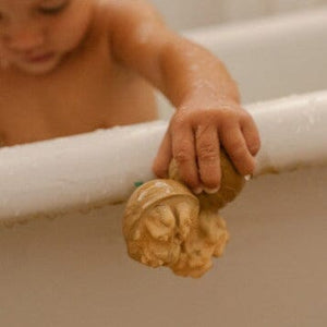 Nutty The Walnut Teether