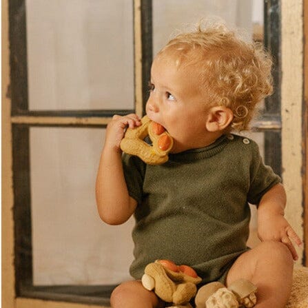 Paco The Peanut Teether