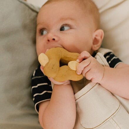 Paco The Peanut Teether