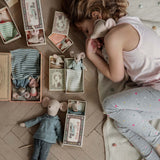 Princess Mouse in Matchbox - Little Sister