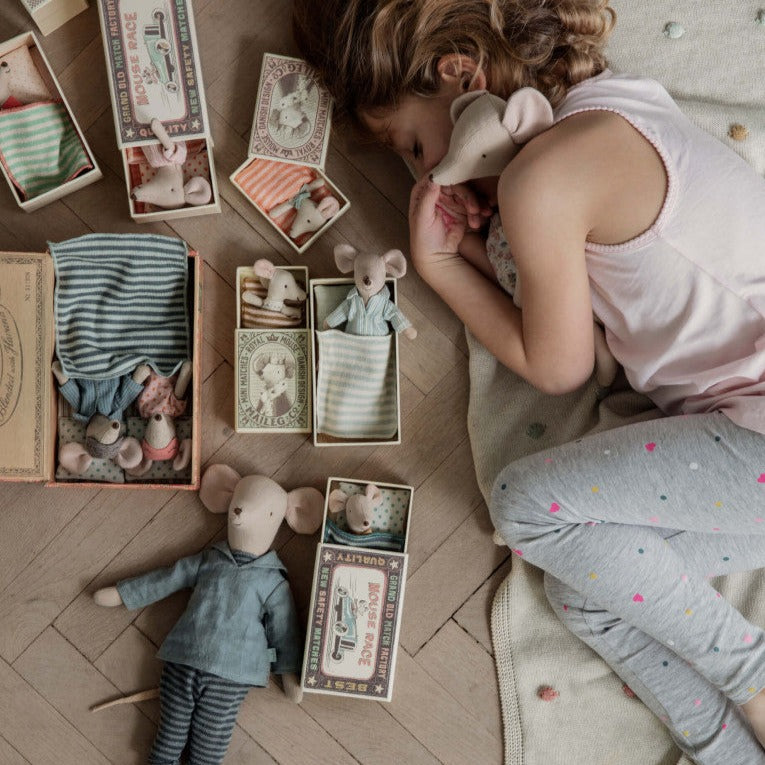 Princess Mouse in Matchbox - Little Sister