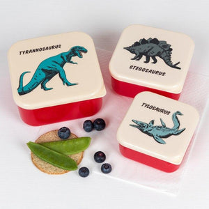 Prehistoric Snack Boxes (3 Pieces)