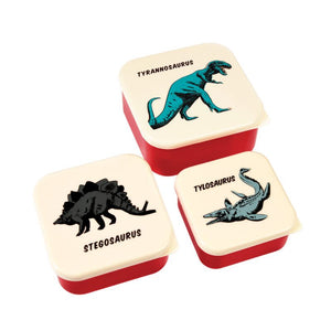 Prehistoric Snack Boxes (3 Pieces)