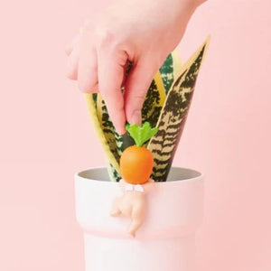 Harvest Hippers Sonny Angel