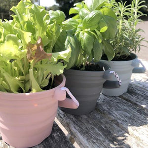 Seedling Pot & Trowel