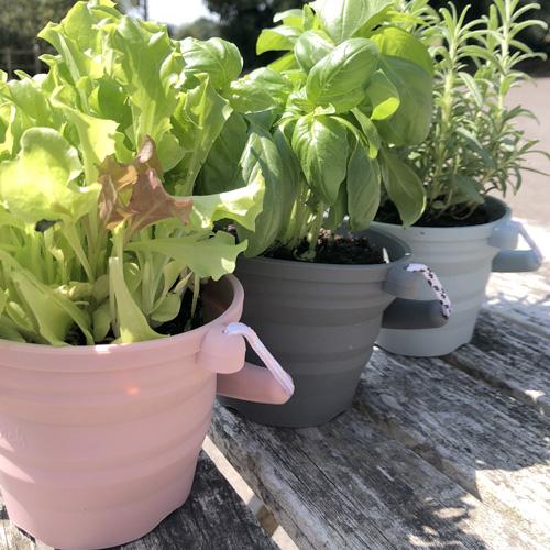 Seedling Pot & Trowel