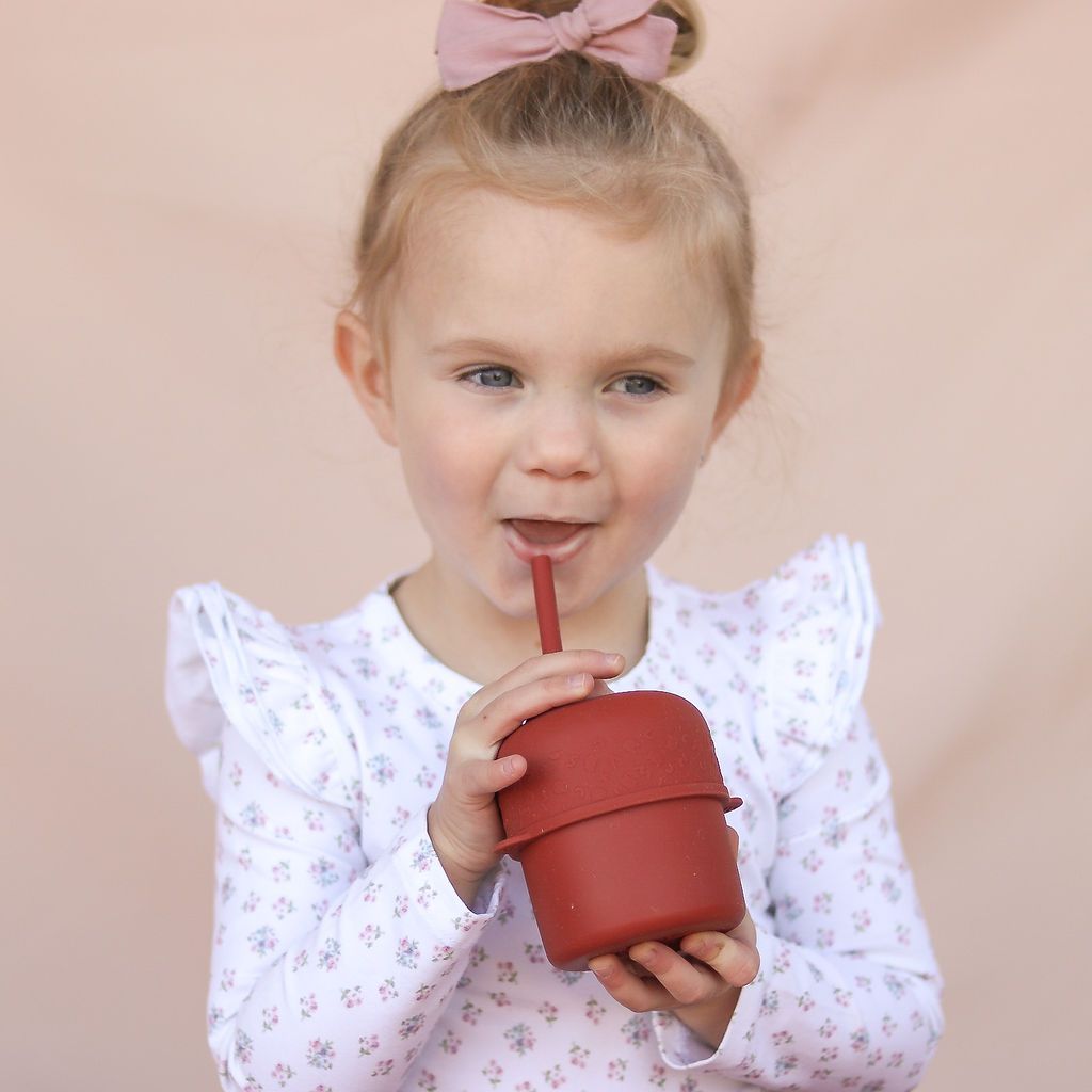 Sippie Lid & Mini Straw (Rust)