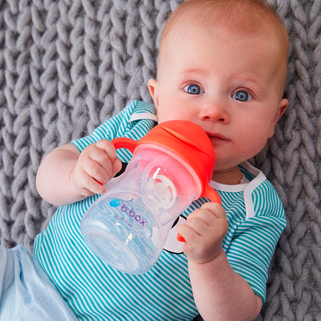 Sippy Cup (Watermelon)