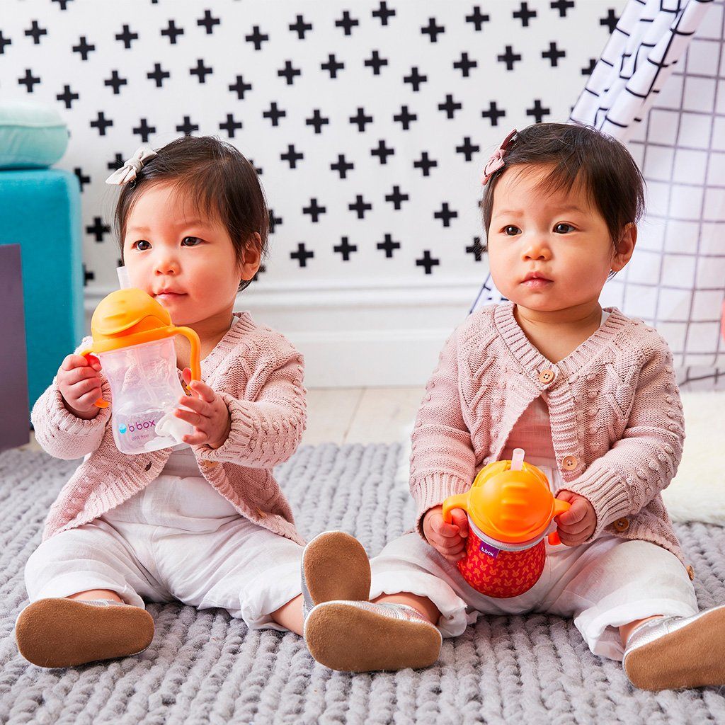 Sippy Cup (Watermelon)