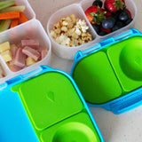 Mini Bento Lunchbox (Indigo Rose)