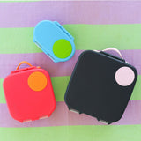 Snack Box (Indigo Rose)
