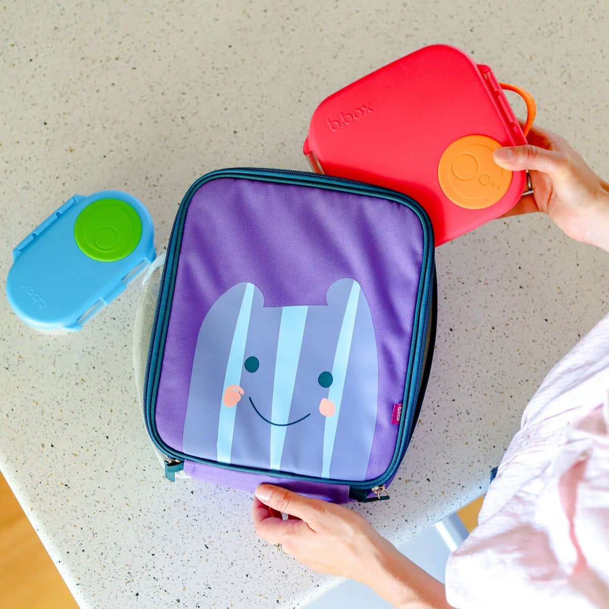 Snack Box (Indigo Rose)