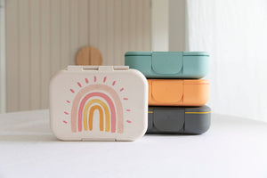 Eco Bento Lunch Box (Rainbow)