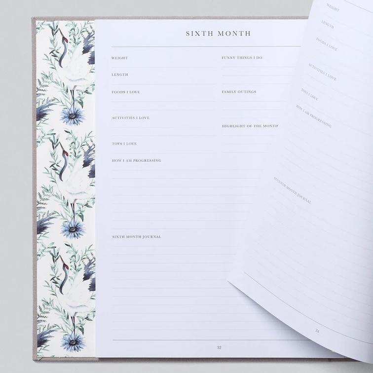 Baby (Your First Five Years )