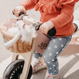 Tiny Tot Trike Plus (Silver Sage)